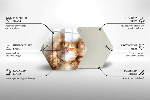 Skleněná deska do kuchyně Malé roztomilé kotě