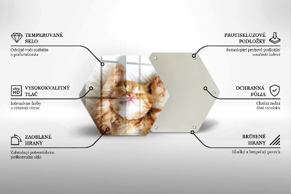Skleněná deska do kuchyně Malé roztomilé kotě