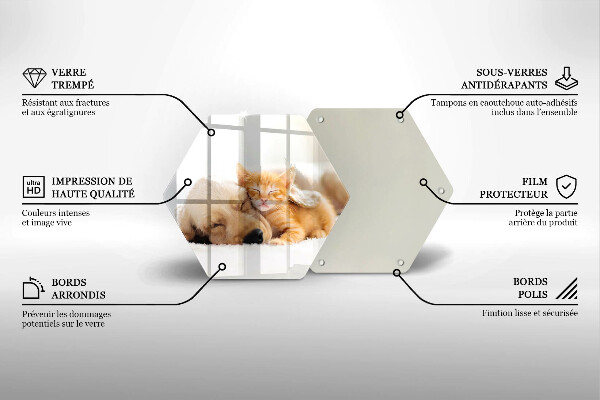 Skleněná krájecí deska Zvířata pes a kočka