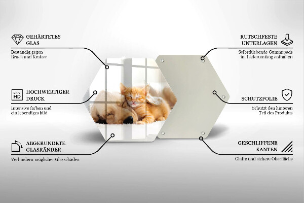 Skleněná krájecí deska Zvířata pes a kočka