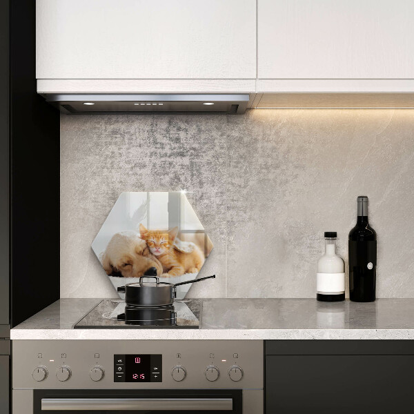 Skleněná krájecí deska Zvířata pes a kočka