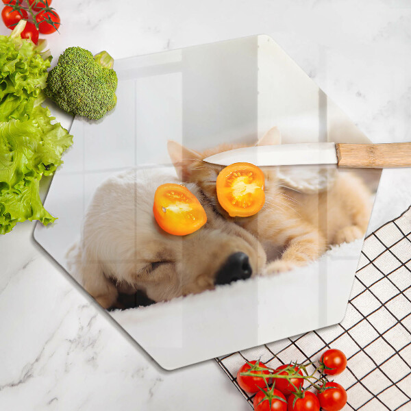 Skleněná krájecí deska Zvířata pes a kočka