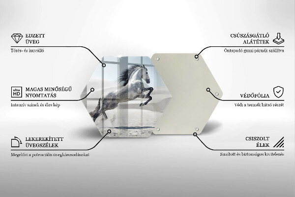 Skleněná deska do kuchyně Oře z bílého koně