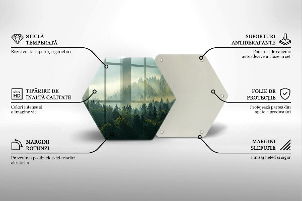 Skleněná deska do kuchyně Krajina pohled na les