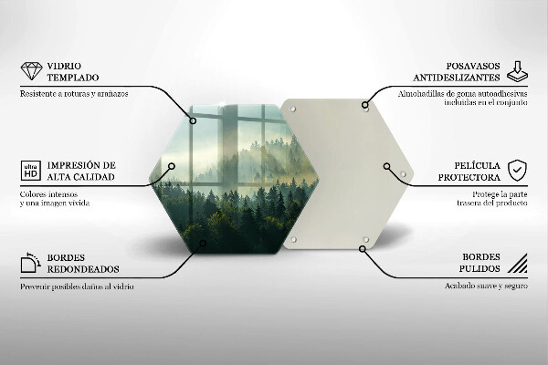 Skleněná deska do kuchyně Krajina pohled na les