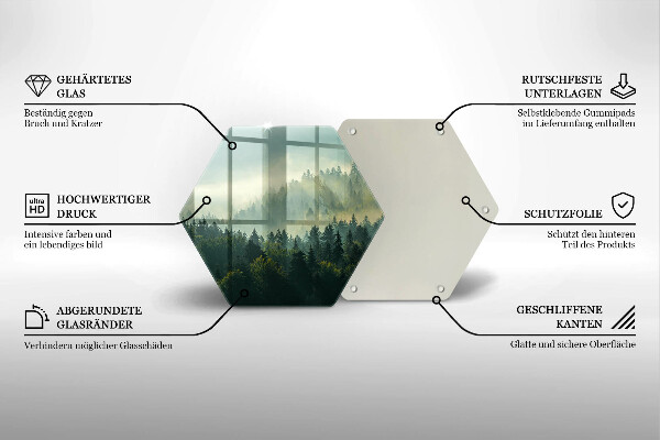 Skleněná deska do kuchyně Krajina pohled na les