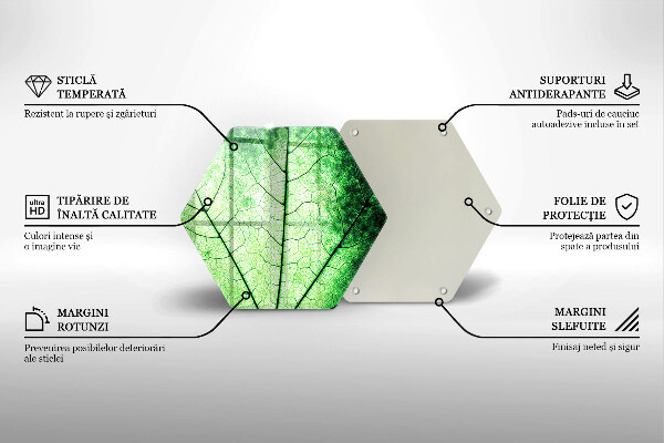 Skleněná deska do kuchyně Dekorativní žilnatý list