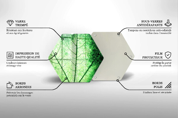 Skleněná deska do kuchyně Dekorativní žilnatý list