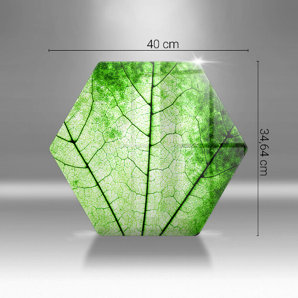 Skleněná deska do kuchyně Dekorativní žilnatý list