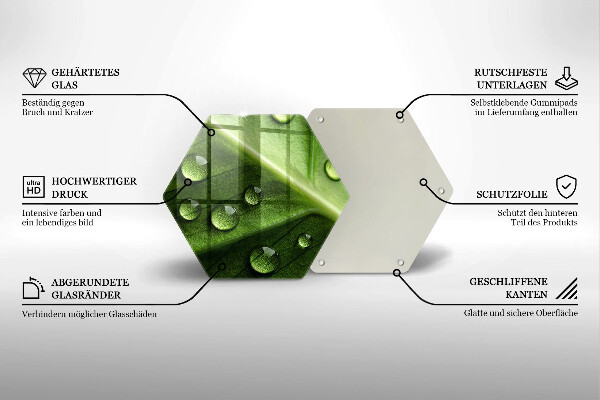 Skleněná deska do kuchyně Příroda rosa a list