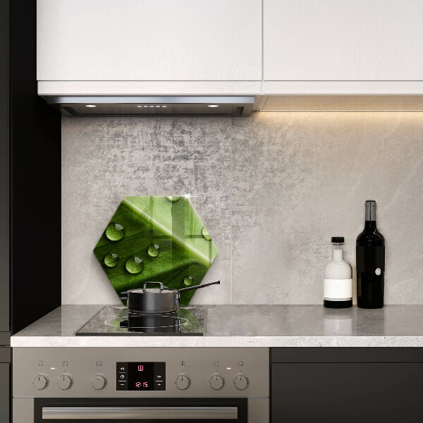 Skleněná deska do kuchyně Příroda rosa a list