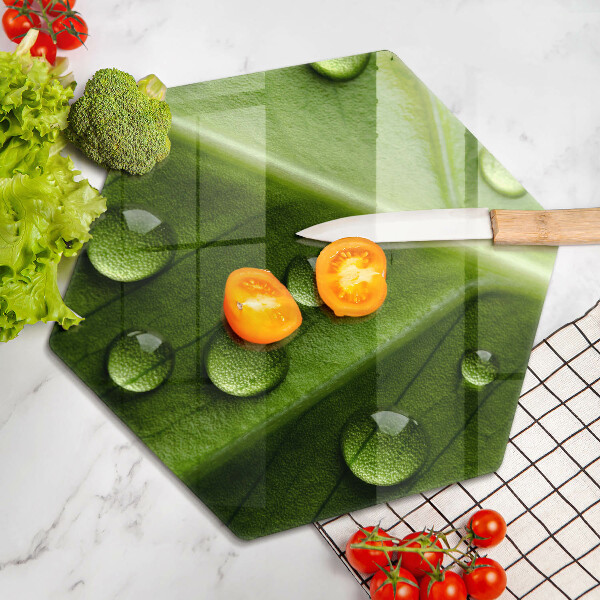 Skleněná deska do kuchyně Příroda rosa a list