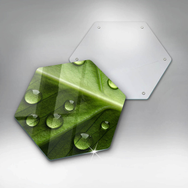 Skleněná deska do kuchyně Příroda rosa a list