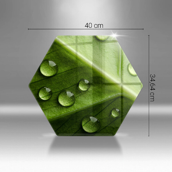 Skleněná deska do kuchyně Příroda rosa a list