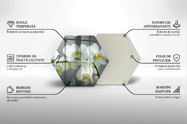 Skleněná deska do kuchyně Bílé květy orchidejí