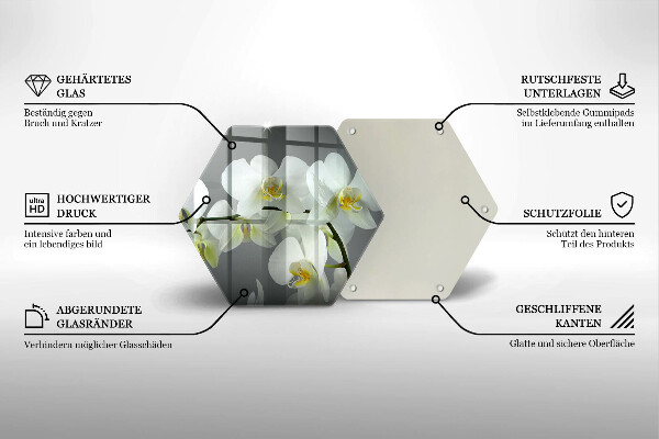 Skleněná deska do kuchyně Bílé květy orchidejí