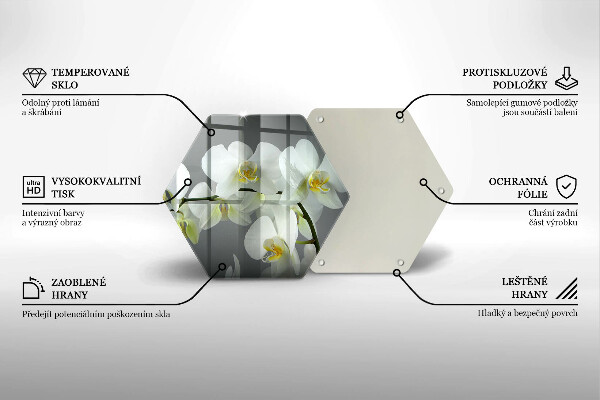 Skleněná deska do kuchyně Bílé květy orchidejí