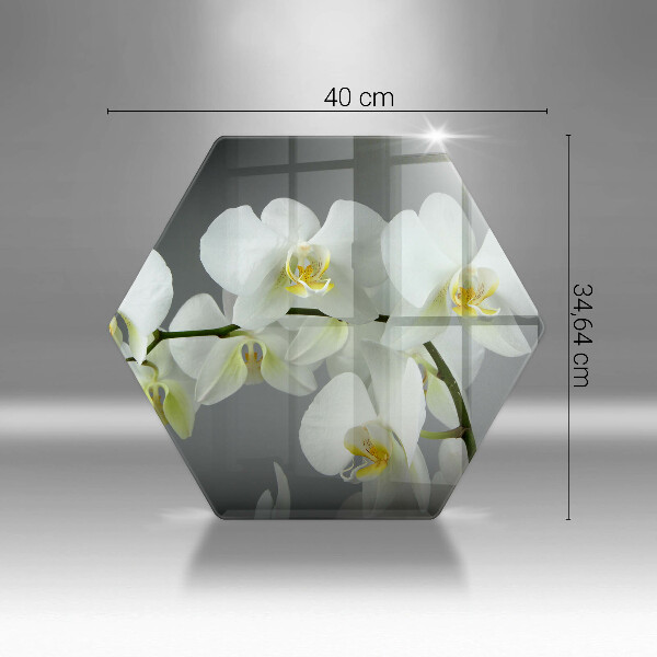 Skleněná deska do kuchyně Bílé květy orchidejí