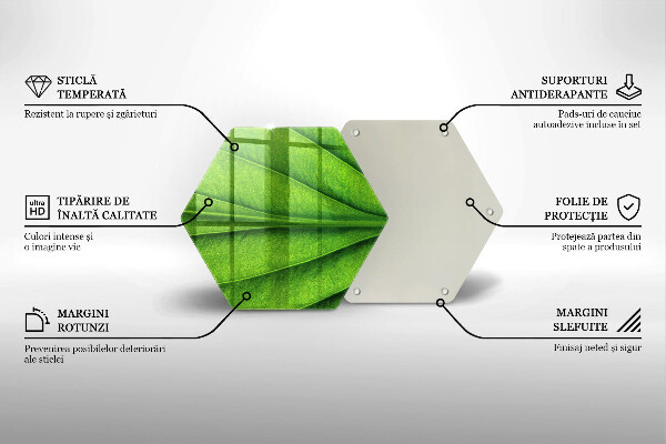 Skleněná deska do kuchyně Přírodní žilní list