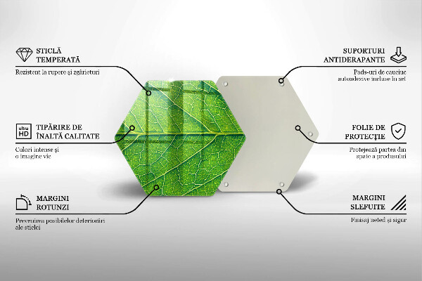Skleněná deska do kuchyně Přírodní listové žíly