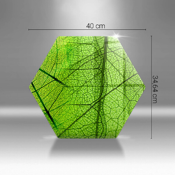 Skleněná deska do kuchyně Přírodní listové žíly