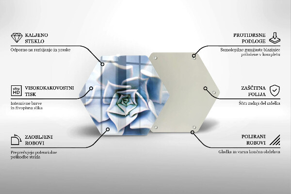 Skleněná deska do kuchyně Květinová rostlina