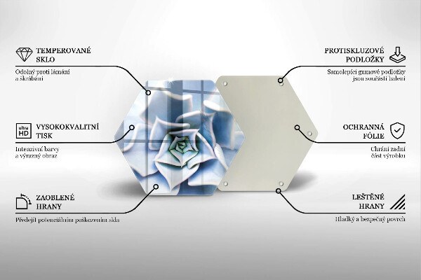 Skleněná deska do kuchyně Květinová rostlina