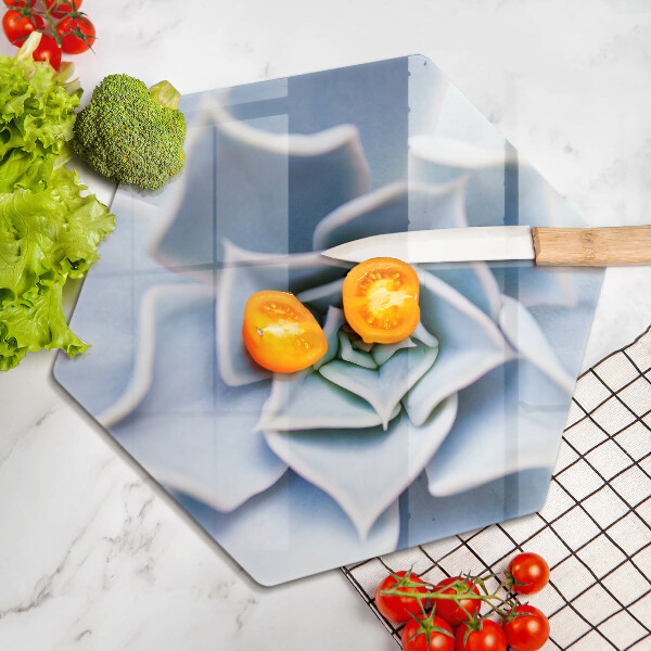 Skleněná deska do kuchyně Květinová rostlina