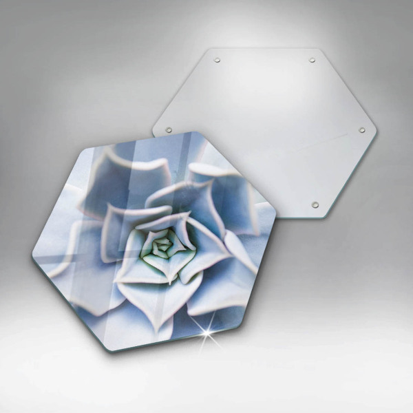 Skleněná deska do kuchyně Květinová rostlina