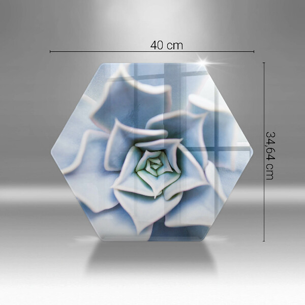 Skleněná deska do kuchyně Květinová rostlina