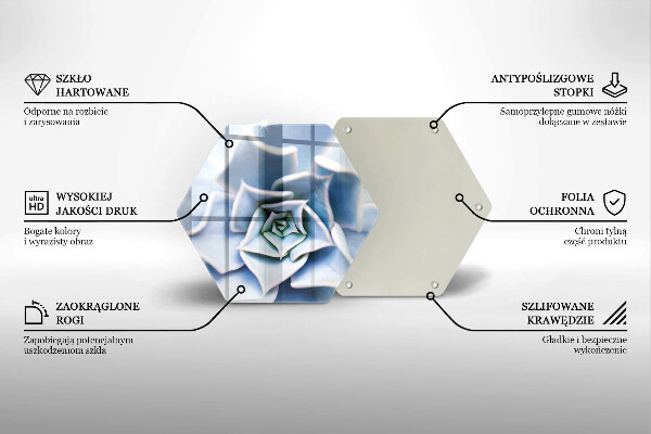 Skleněná deska do kuchyně Květinová rostlina