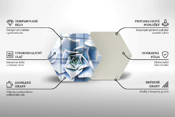 Skleněná deska do kuchyně Květinová rostlina