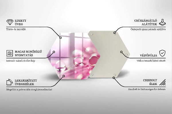 Skleněná deska do kuchyně Okvětní lístky rosy