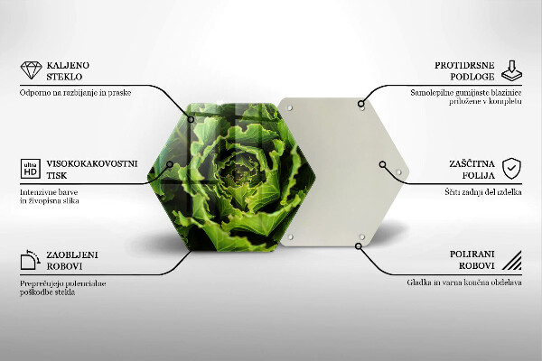 Skleněná deska do kuchyně Jíst listy salátu