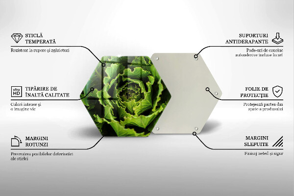 Skleněná deska do kuchyně Jíst listy salátu
