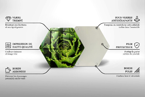 Skleněná deska do kuchyně Jíst listy salátu