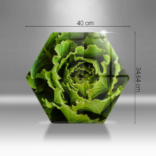 Skleněná deska do kuchyně Jíst listy salátu