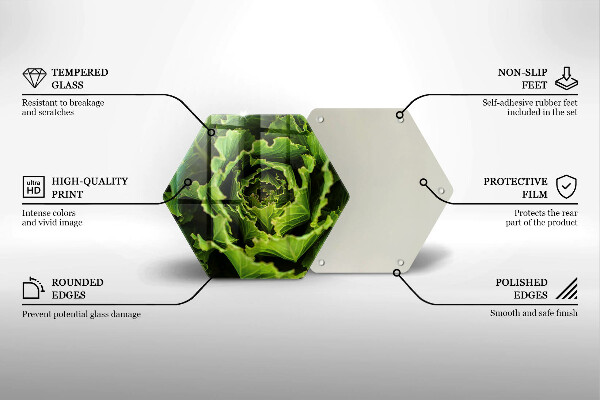 Skleněná deska do kuchyně Jíst listy salátu