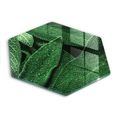 Skleněná krájecí deska Listy rostliny