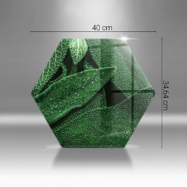 Skleněná krájecí deska Listy rostliny