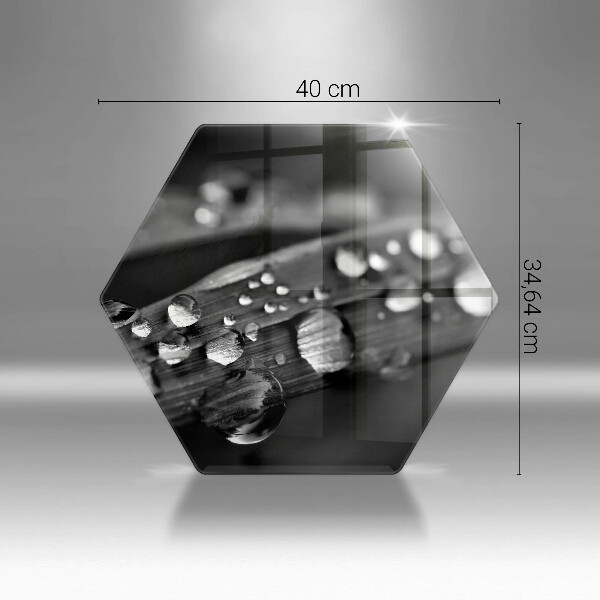 Skleněná krájecí deska Kapky rosy na listech