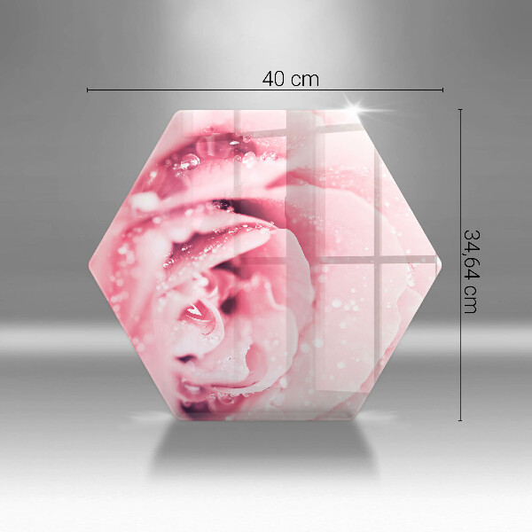 Skleněná krájecí deska Kapky rosy a květ růže