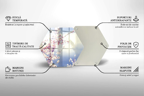 Skleněná deska do kuchyně Kvetoucí strom
