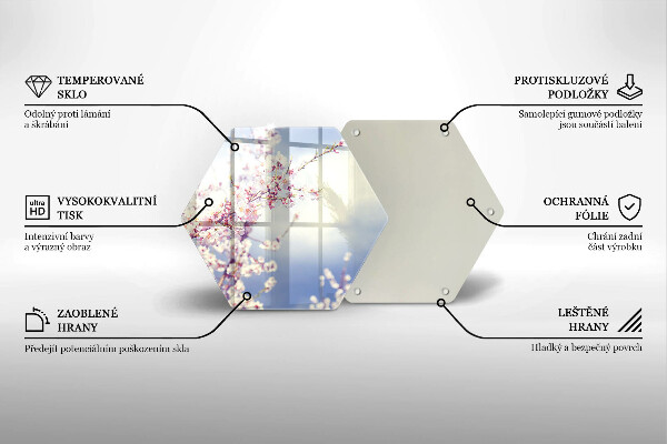 Skleněná deska do kuchyně Kvetoucí strom