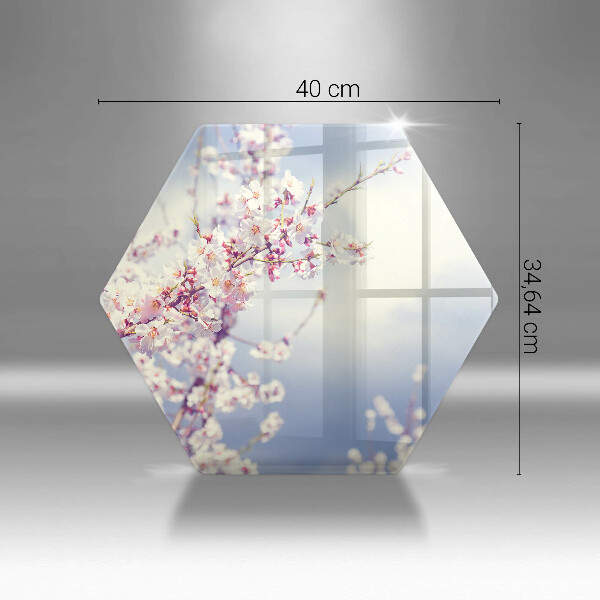 Skleněná deska do kuchyně Kvetoucí strom