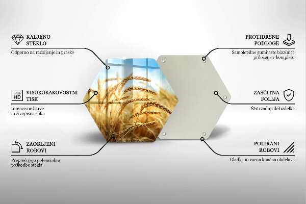 Skleněná deska do kuchyně Klasy obilovin na poli