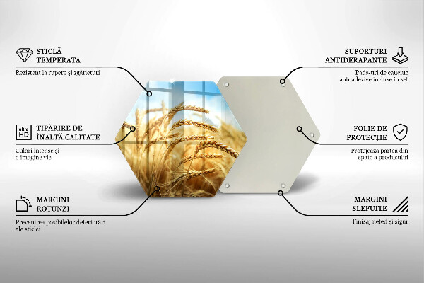 Skleněná deska do kuchyně Klasy obilovin na poli