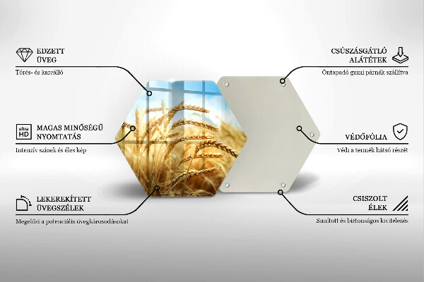 Skleněná deska do kuchyně Klasy obilovin na poli
