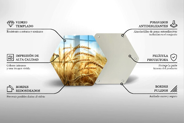 Skleněná deska do kuchyně Klasy obilovin na poli