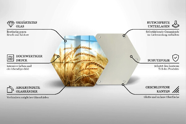 Skleněná deska do kuchyně Klasy obilovin na poli